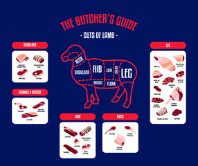 Meat and Beef cuts. Diagrams for butcher shop. Scheme of beef. Vector illustration. Beef butcher's guide. Used for cooking steak and roast - t-bone, rib eye, porterhouse, tomahawk, etc.