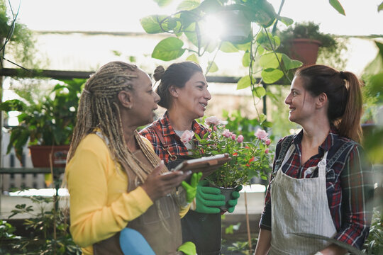 Multiracial mature women having fun working together inside garden center greenhouse