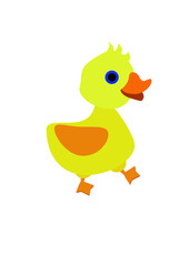 Duckling in bright colors, farm birds. Cute and funny colorful duckling cartoon vector illustration isolated on white background. Vector baby duckling Cute cartoon illustration for kids. Farm birds 