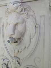 detail of a lion