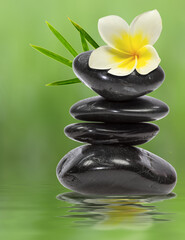 Fototapeta na wymiar Composition zen spa massage, fleur de frangipanier sur empilement de galets noirs