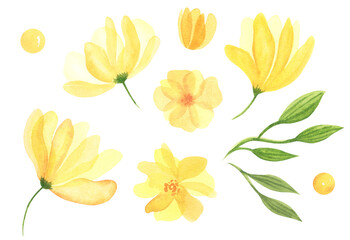 Abstract yellow transparent flowers orange petals with green nice beautiful  leaves