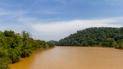 the river in the forest