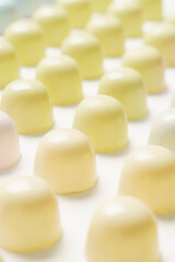 Exclusive handmade chocolate candy painted with pastel colo