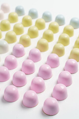 Exclusive handmade chocolate candy painted with pastel colo