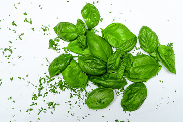 Fresh basil leaves on a white marble surface. Fresh, healthy and natural food concept.