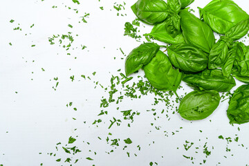 Fresh basil leaves on a white marble surface. Fresh, healthy and natural food concept. Copy space.
