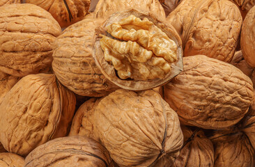 Ripe Walnuts Wallpaper.  Walnut fresh nuts Background top view