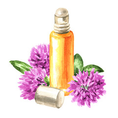 Red pink field clover  flowers and essential oil,  Hand drawn watercolor illustration isolated on white background