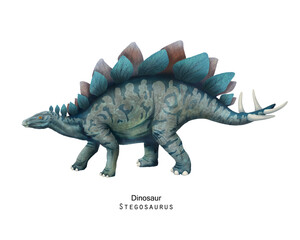 Stegosaurus illustration. Dinosaur with crest on back.