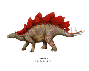 Stegosaurus illustration. Dinosaur with crest on back. Red crest © inna72