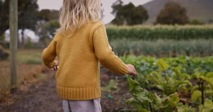 Adorable little girl running towards her big brother in a vegetable garden. Rearview of a little blonde girl going to join her brother on an organic farm.
