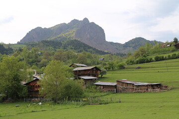 amazing spring landscapes on a sunny day.ARTVİN.TURKEY