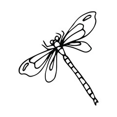 Four-spot skimmer dragonfly. Alaska State symbol. Vector outline icon.