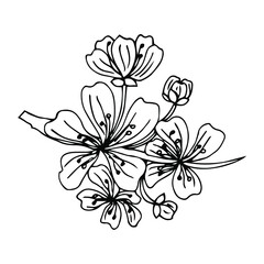 Black hand drawn brush paint sakura branch.Vector stylized decorative silhouette of cherry flowers painted by ink. Isolated on white background.