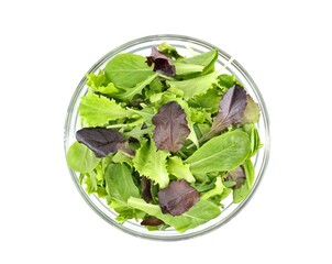 Healthy mixed salad of lettuce varieties in a transparent bowl. The vegetables are green lettuce,...