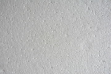 Obraz premium Closeup photograph of a white Sabout