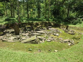 stone path in the forest