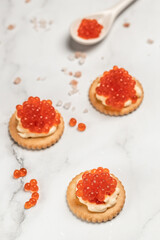 Salmon Red Caviar. Delicious snacks cracker, butter, salmon red caviar. Raw seafood. Luxury delicacy food. appetizer, selective focus, place for text
