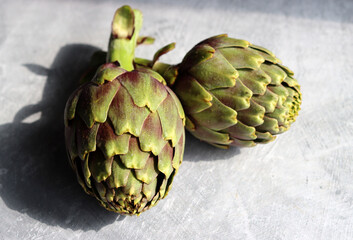 Two fresh artichokes on a table. Close up photo of vegetables on light grey background with copy...