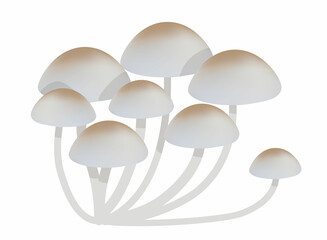 mycena mushrooms isolated on white background. realistic mushroom renderer