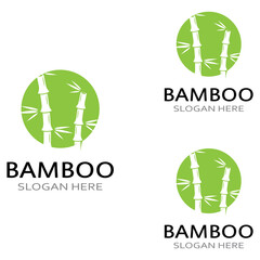 Logo of a bamboo plant or a type of hollow plant. Using a modern illustration business vector concept design