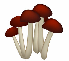 xylophyte poisonous mushrooms isolated on white background. Realistic rendering of mushrooms