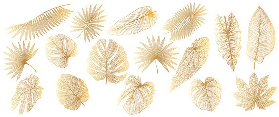 Set tropical gold leaf isolated. Vector illustration.  © O.Yu