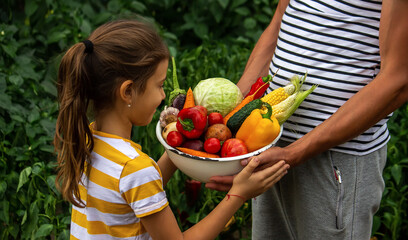 Child and father are holding fresh vegetables in their hands. Selective focus.