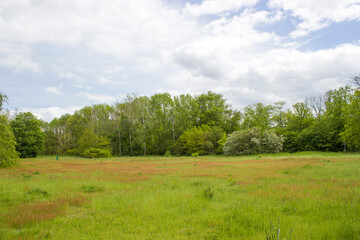 Obraz premium German countryside landscape, Lower Rhine Region, Germany