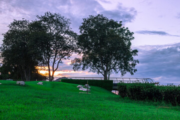 Natural blurred background of fog scattered among trees in the morning, with soft sunlight from the sun, seasonal beauty.