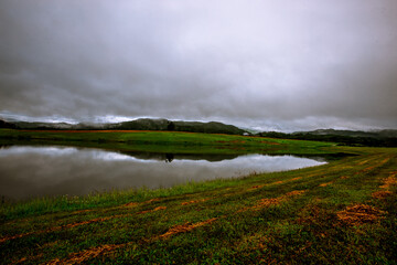 Natural blurred background of fog scattered among trees in the morning, with soft sunlight from the sun, seasonal beauty.