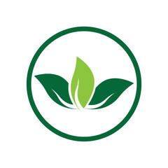 leaf logo vector template ilustration and icon design