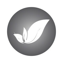 leaf logo vector template ilustration and icon design