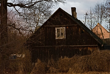 Stary drewniany dom (chata ) z desek , pośród drzew bezlistnych zimą .
