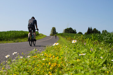 Vue à travers un champ de fleurs de 2 cyclistes pris de dos, roulant sur une route tranquille par...