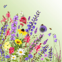 Colorful garden flowers with insects, green background