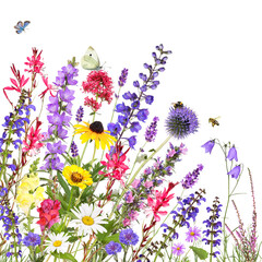 Colorful garden flowers with insects isolated