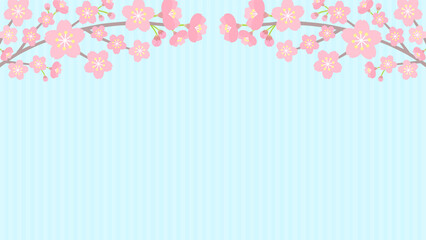桜の花で飾った水色ストライプのバナー - 春・お祝いの背景素材
