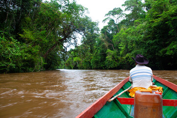 Boat ride through the deep jungle of Borneo - 494256500