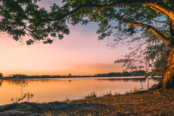 Fototapeta premium Park