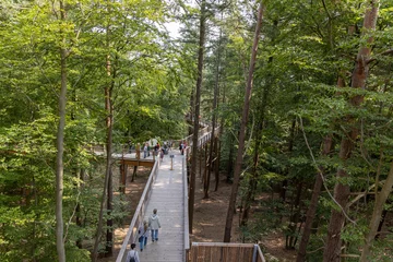 Wall murals Heringsdorf, Germany The new tree-top walk in Heringsdorf as an excursion destination