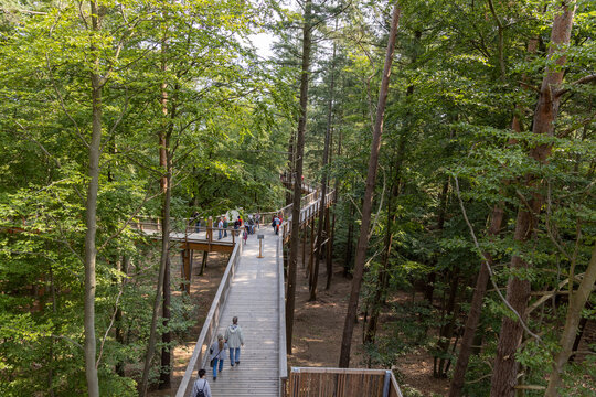 The new tree-top walk in Heringsdorf as an excursion destination