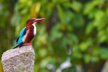 The King's first Photoshoot
