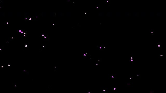 Cherry blossoms fluttering background graphics 4K video (background transparent)