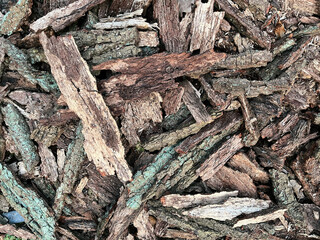 Texture of a pile of tree bark