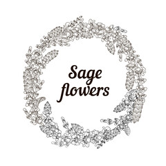 Sage or Salvia herb round wreath. Vector line illustration. Botanical design element.