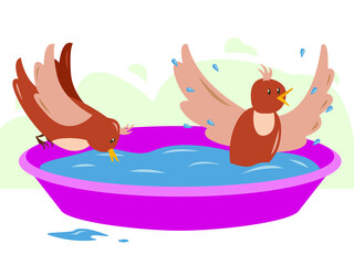 Vector illustration - two joyful birds drink and bathe in refreshing water in an isolated soda bath. Concept care and morning exercise