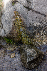 natural park formed by granite rocks called La Pedriza in the Sierra de Guadarrama, Madrid