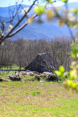 Traditional Mediterranean stable and garden, illuminated by warm sunlight. Early spring in the Mediterranean countryside. Selective focus.
